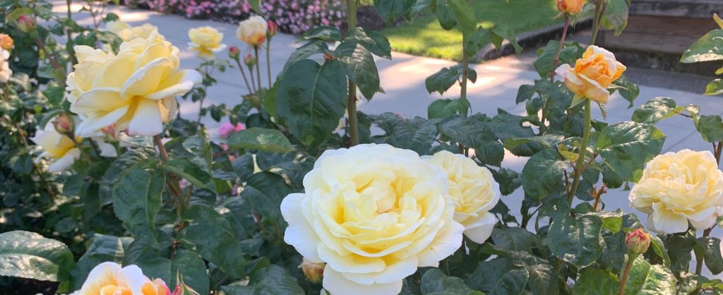 What Even is “Too&nbsp;Late?”