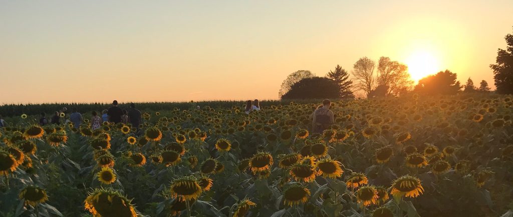 Endings and New&nbsp;Beginnings